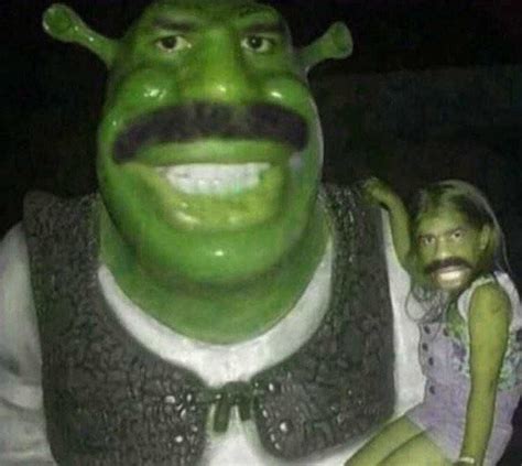 Shrek Face Meme Idlememe Shrek Memes Shrek Interesting Faces