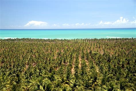 Praias Brasileiras Que Voc N O Deve Deixar De Conhecer Neste Ver O