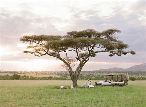 Sundowner Luxury African Safari Serengeti Tanzania