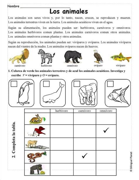 Materiales para preescolar, primaria, secundaria. Naturales (con imágenes) | Ciencia preescolar, Clasificación de animales, Ciencias de la naturaleza