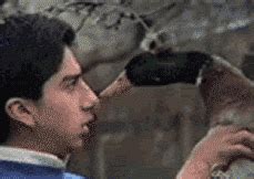 For special occasions, you will find birthdays, weddings. 24 Funny Animated GIF Images to Make You Laugh All Day Long - Quertime