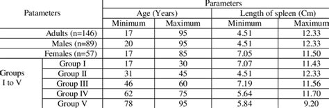 Minimum And Maximum Of Age And Spleen Length In Adults Males And