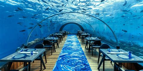 6 Underwater Restaurants In The Maldives You Should Definitely Visit