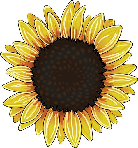 Golden Sunflower On Behance