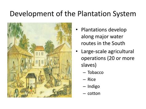 Ppt Differences Emerge Among The English Colonies Powerpoint