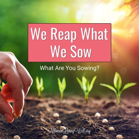 We Reap What We Sow What Are You Sowing Women Living Well Seed
