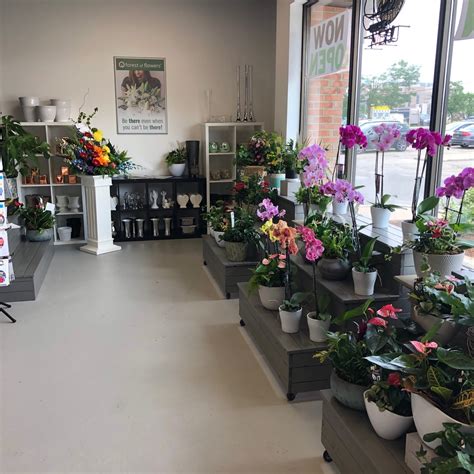 Forest Of Flowers Opening Hours 4a 555 Wellington Rd London On