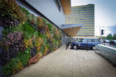 Incorporating An Edible Living Wall Beneva Plantscapes