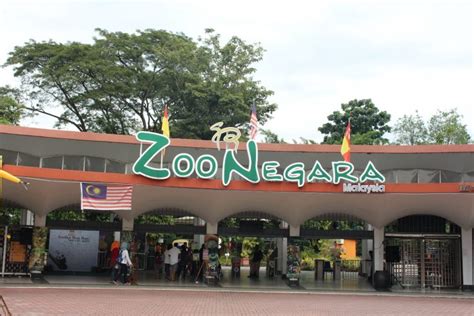 Dah lama dah tak masuk zoo bukan? Tawaran Tiket Masuk Zoo Negara Percuma Selama 30 Hari Dari ...