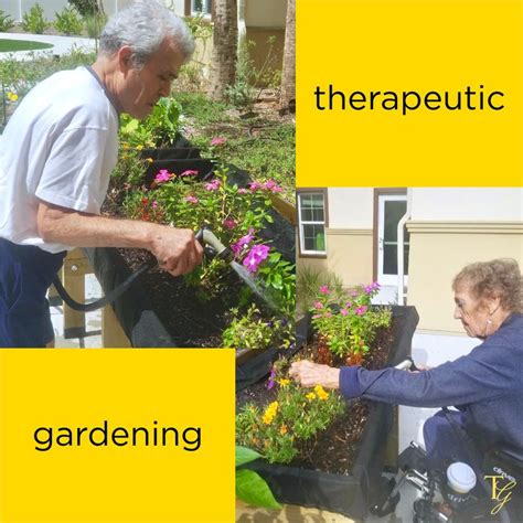 Therapeutic Gardening Blossoms As A Rehabilitation Activity For Our