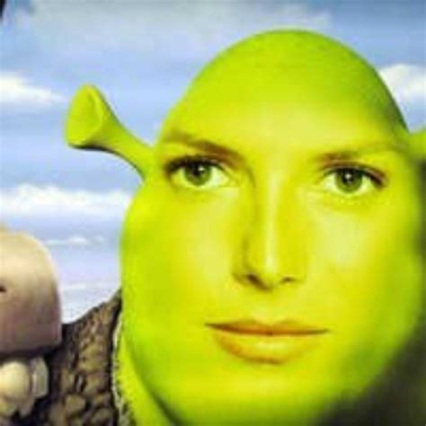 Dont Worry Its All Ogre Now Funny Profile Pictures Shrek Memes