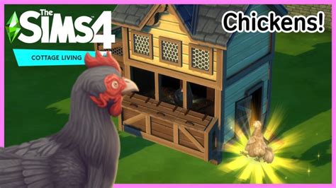 How To Clean Your Chickens In Sims 4 Gaming News
