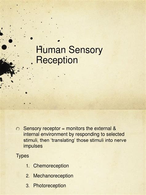 Pdf Human Sensory Reception Dokumentips