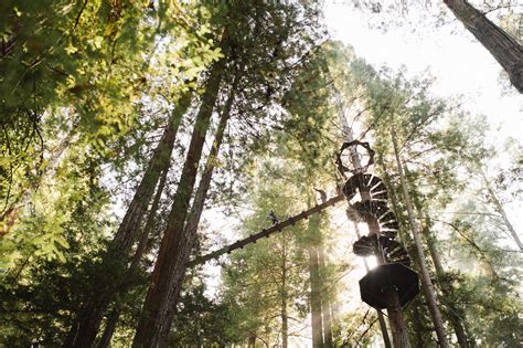Alliance redwoods has partnered with redwood gospel mission to. Sonoma Canopy Tours