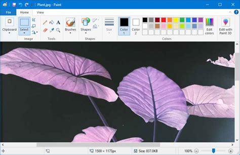 How To Invert Colors Of Your Photos In Windows Digitional
