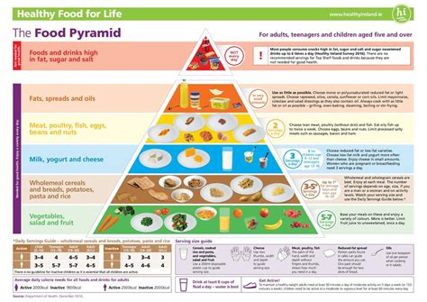 Food Pyramid Display Posters Englishspanish Food Pyramid Porn Sex Picture