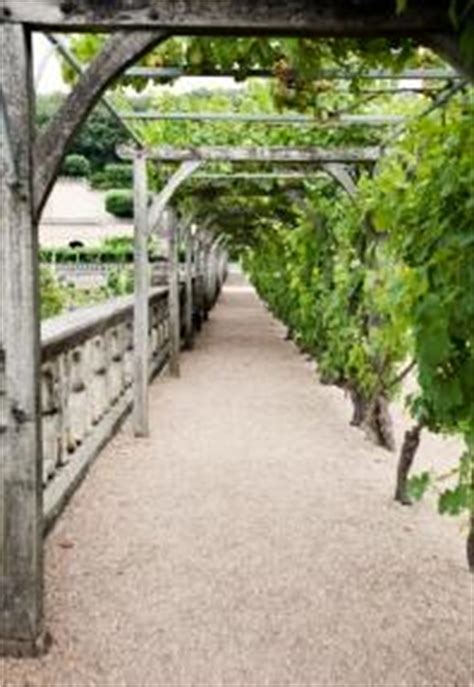 I decided to draw up a plan for you all who are looking for simple and great looking diy pergola plans. How to Build a Grape Arbor | LoveToKnow