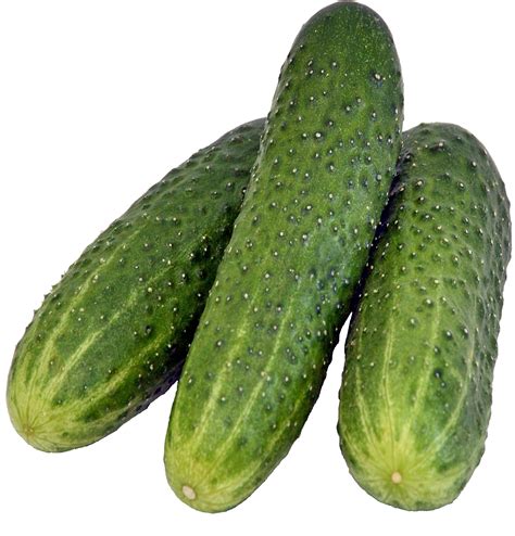 Cucumber Png
