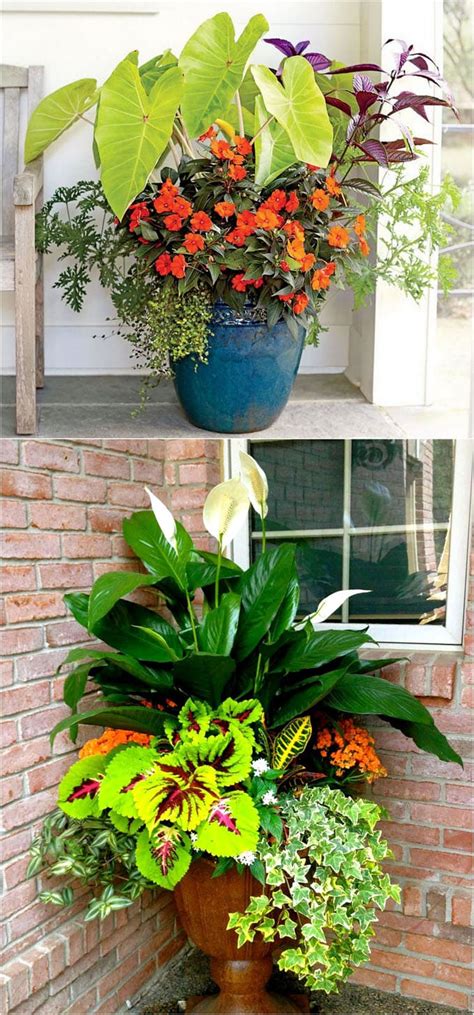 There are hundreds of plants that thrive in the shade. A Gallery of Beautiful Container Garden Ideas