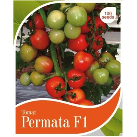 Jual Benih Tomat Hibrida Permata F Isi Benih Cap Panah Merah