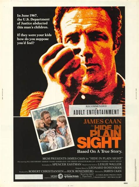 In plain sight revolves around mary shannon, a deputy united states marshal attached to the albuquerque, nm, office of the federal witness security program, more commonly known as the federal witness protection program. Hide in Plain Sight 1980 film | Movies, Movie posters for ...
