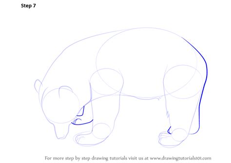 To draw a grizzly bear step by step, follow along with the video tutorial below and pause the video after each step to draw at your own pace. Learn How to Draw a Black Bear (Wild Animals) Step by Step ...