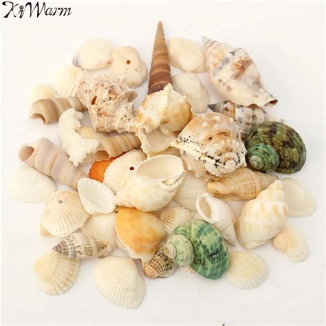 Kiwarm Cute Mediterranean Style Beach Mixed Seashells Mix Sea Natural