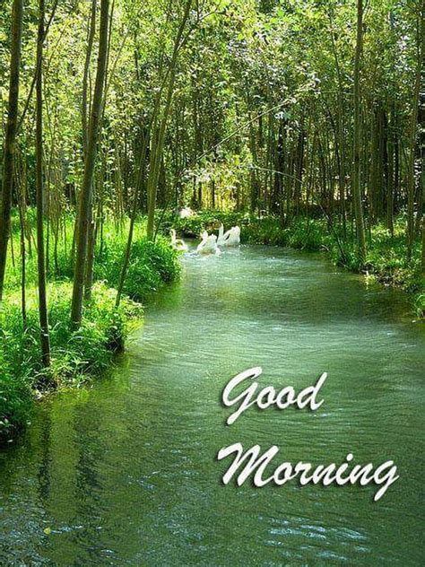 Sign In Good Morning Images Good Morning Nature Good Morning Images Hd