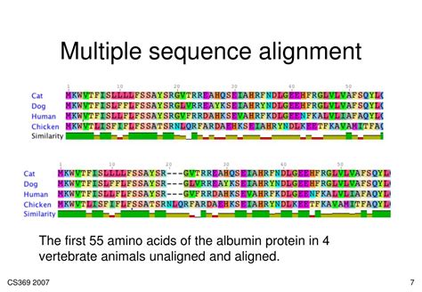 PPT Multiple Sequence Alignment PowerPoint Presentation Free