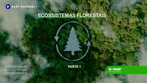 Ecossistemas Florestais Parte 1 BASF Channel
