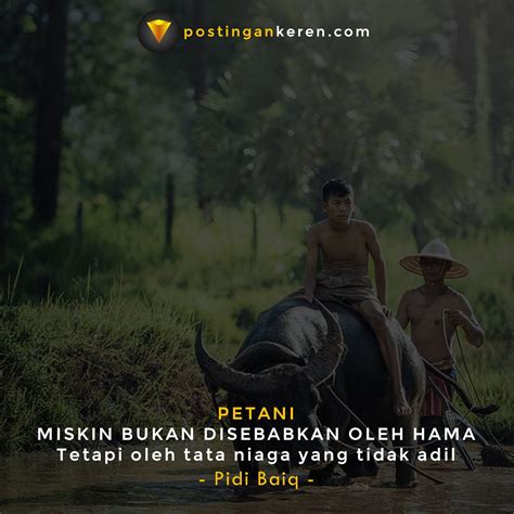 57+ Kata Kata Petani