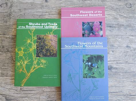 Southwest Plant Guides Desert Flowers Upland Shrubs And Etsy In 2021