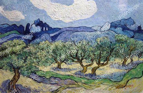 The Olive Trees Painting By Vincent Van Gogh Reproduction