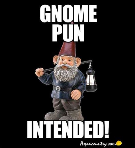 Funny Gnome Jokes Follow The Antics Of Gnome Ward Bound Gnome Kidding