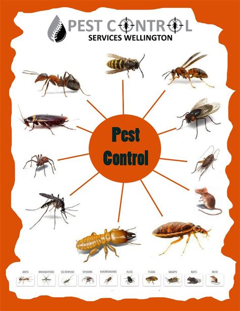 Daugiau informacijos apie įmonę eastern termite & pest control rasite adresu www.easterntermitecontrol.com. Expert Pest Control Burlington Nj | Pest Control