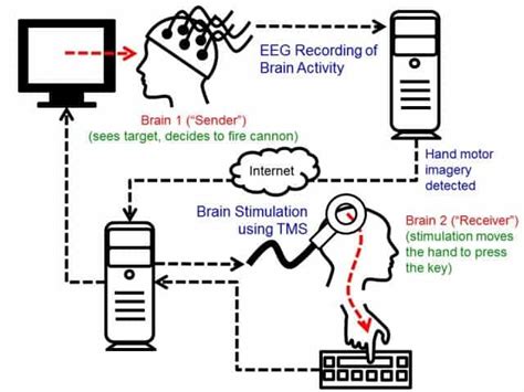 Brain To Brain Interface Allows Telepathic Exchange Of Information