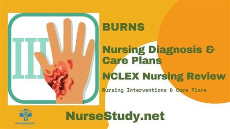 Burns Nursing Diagnosis And Nursing Care Plan Nursestudynet