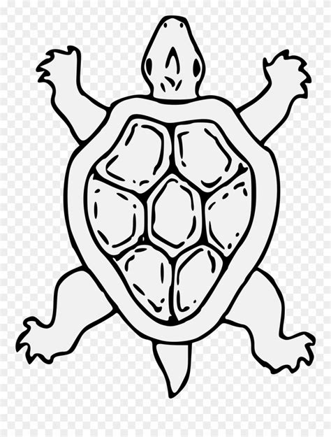 Punya kura kura di rumah ini bahaya yang bisa mengintai anak health liputan6 com. Tortoise - Gambar Kura Kura Kartun Hitam Putih Clipart ...