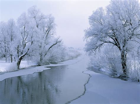 Winter Trees River Snow Ice Wallpapers Hd Desktop