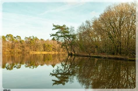 4 | Vertou - Forêt de Touffou | sahib.eric | Flickr