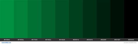 Dark Emerald Green Color Code