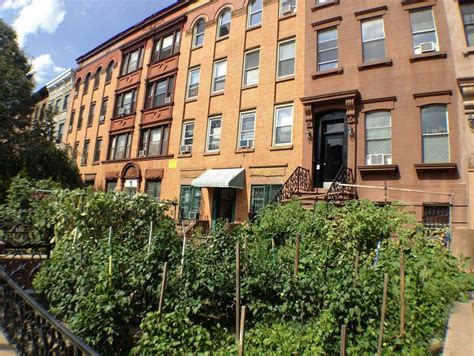 How does your garden groove. How Does Your Garden Grow? Seen on 2nd Place. | Carroll ...