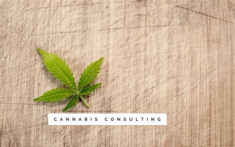 Cannabis Consulting And Cannabinoid Therapy Holly Warner Health