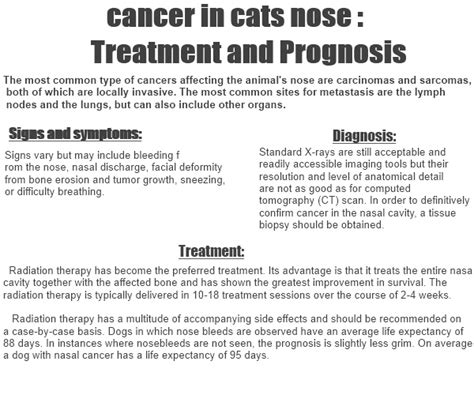 These include some antibiotics, analgesics, chemotherapy agents, and anesthetics. cancer in cats nose : Treatment and Prognosis