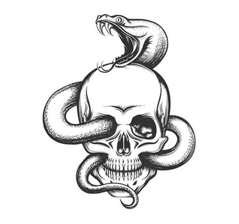 Dibujos De Serpientes A Color Lápiz Y En 3d