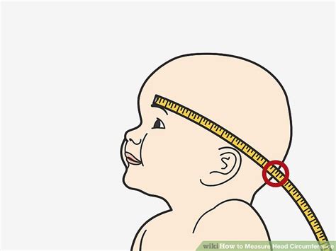 3 ways to measure head circumference wikihow