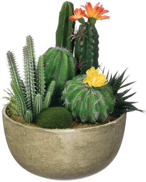 Sullivans Artificial Potted Cacti Plant Assortment 9 Cactus Plants Garden Plant Pots