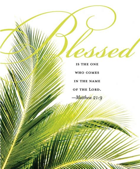 Download High Quality Palm Sunday Clipart Bulletin Transparent Png