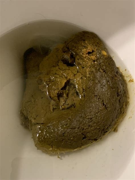 A Humongous Stinky Shit Poop