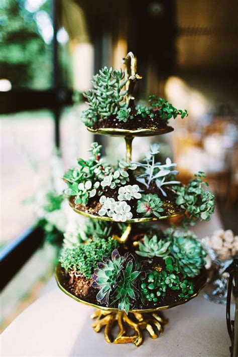 23 Wedding Succulents That Will Make You Forget About All Other Flowers
